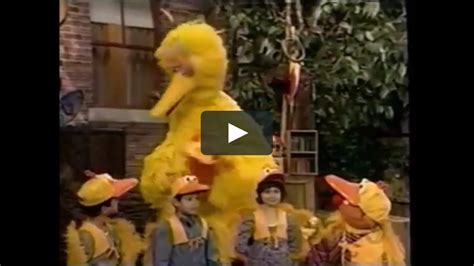 Sesame Street 3873 Ernie And Rubber Duckie Join The Birdketeers On Vimeo