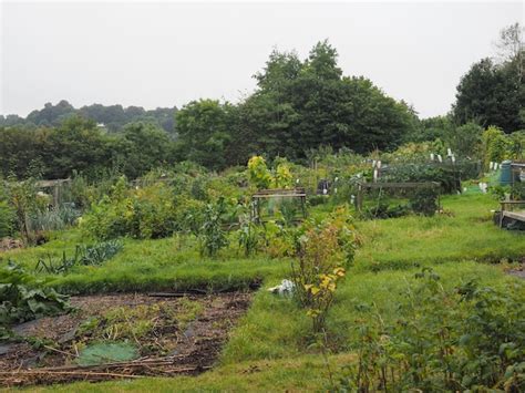 Premium Photo | Allotment garden (community garden)