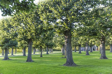 Royal Gardens of Herrenhausen in Hannover - Germany - Blog about ...