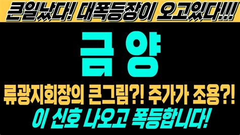 금양 주가전망 긴급 속보 특급정보 류광지회장의 큰그림 주가가 조용 이 신호 나오고 폭등합니다 큰일났다 대폭