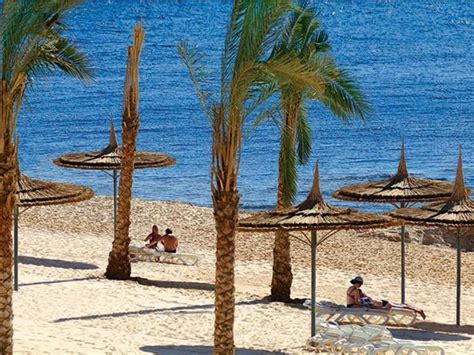 Sentido Reef Oasis Suakin Resort Urlaub Inkl Flug Ltur