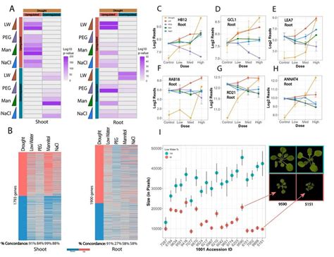 Comparative Transcriptomic Analysis Reveals Peg Mannitol And Nacl