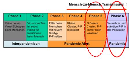 SK 1 SPM 7 Übertragbare Krankheiten Karteikarten Quizlet