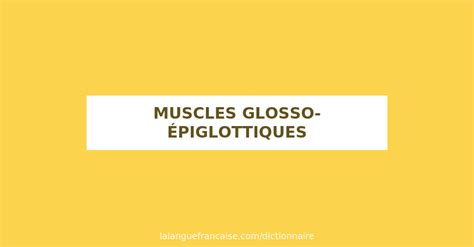 Définition de muscles glosso épiglottiques Dictionnaire français