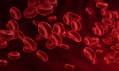 Rh Null Blood Type People - Blood Type Relation