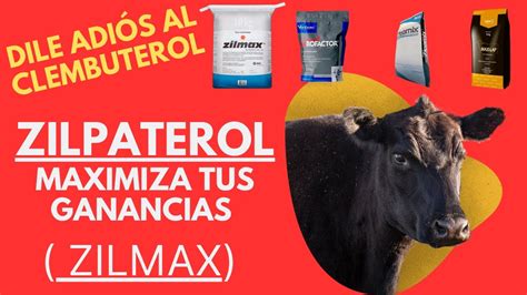 ZILPATEROL PRODUCE MAS CARNE DILE ADIÓS AL CLEMBUTEROL EN EL GANADO