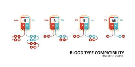 Compatibility Chart Of Blood Type Blood Donation Bag Stock Vector