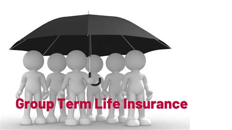 Group Term Life Insurance What It Is How It Works Techswizz