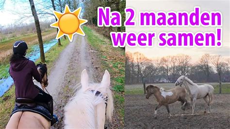 Nacho En Marley Staan Weer Samen Gaat Dat Goed Alles Over