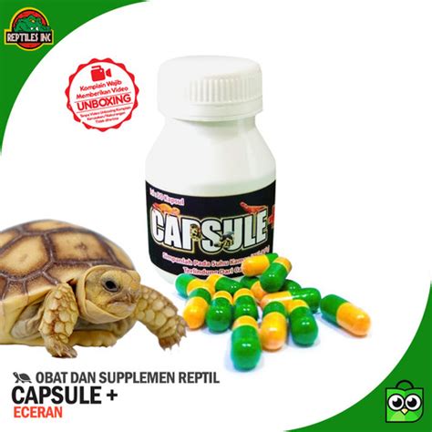 Jual Capsule Plus Obat Reptil Torto Kura Kura Flu Pilek ECERAN