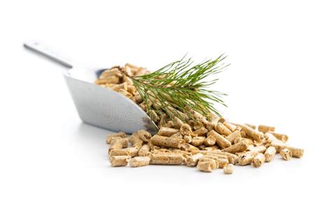 Wooden Pellets In Scoop And Pine Branch Isolated On White Background