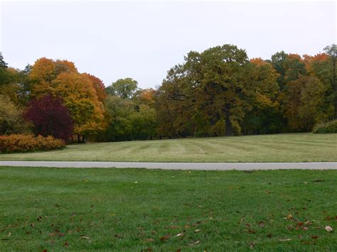 Kostenlose Foto Landschaft Baum Natur Gras Feld Rasen Wiese