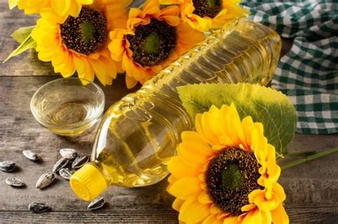 Lowers Cholesterol Cold Pressed Sunflower Oil At Best Price In