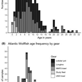 Age Structure Of Atlantic Wolffish By A Sex And B Gear Sampling