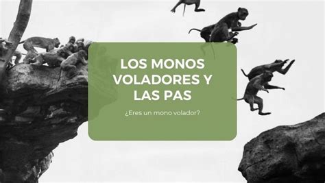 Los Monos Voladores Y Las Pas