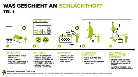 Infografiken Rind Land Schafft Leben