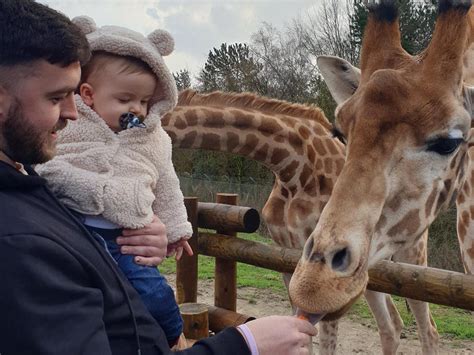 Your ultimate guide to the safari zoo barrow in furness 30