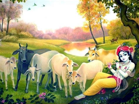 Krishna Hd Wallpaper With Cow - HD Wallpaper