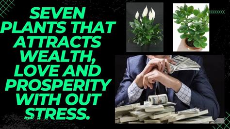 Seven Plants That Attracts Wealth Love And Prosperity With Out Stress