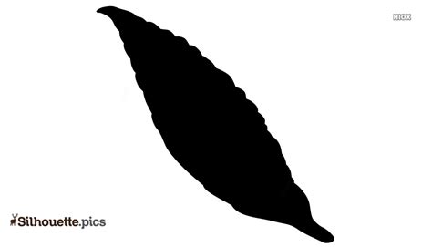 Feather Silhouette Vector Free at Vectorified.com | Collection of Feather Silhouette Vector Free ...