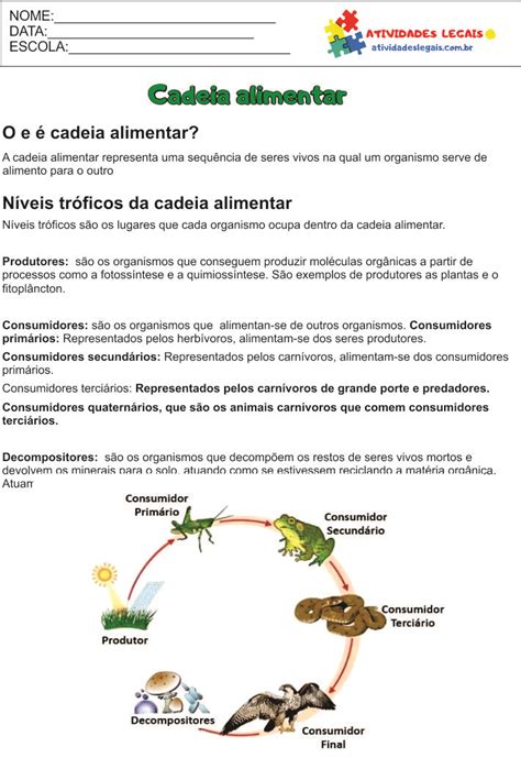 Cadeia Alimentar Atividades 4 Ano Gsmbrain Porn Sex Picture