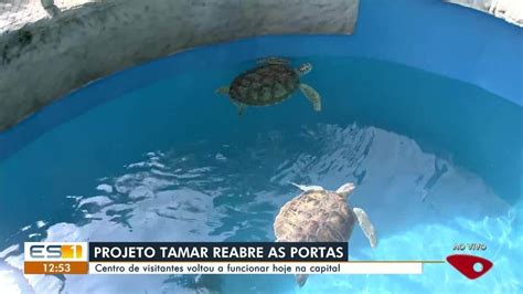 Centro De Visitantes Do Projeto Tamar Reaberto Em Vit Ria Esp Rito