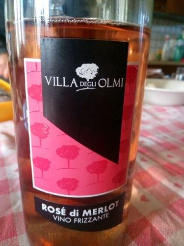 Villa Degli Olmi Rosé di Merlot Frizzante Vivino Deutschland