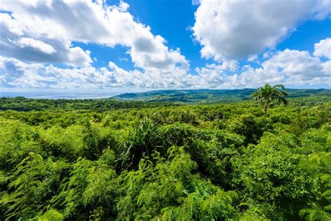 Farley Hill National Park En La Isla Caribe A De Barbados Es Un Destino