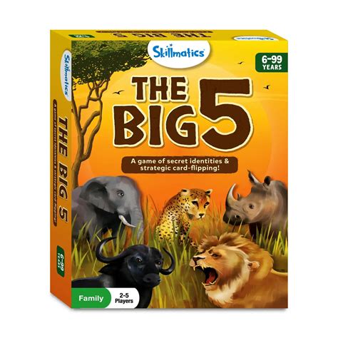 The Big 5 Strategy Card Game Ages 6 Skillmatics Us