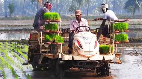 Rice Transplanter Michine In Farm New Technology In Row Paddy Rice