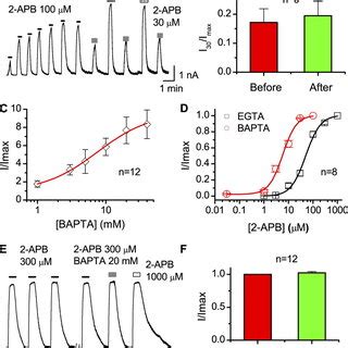 Pharmacophore Of BAPTA A Structures Of The Synthetic Peptides