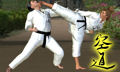 Karate Kick In The Face By Soldier2000 On Deviantart