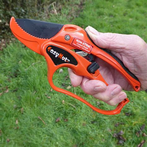 Anvil Secateurs Hg Promotions Ltd