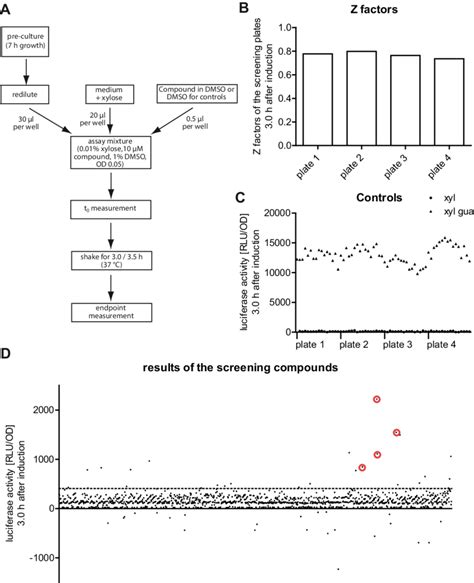 High Throughput Screening Assay A Scheme Of The High Throughput