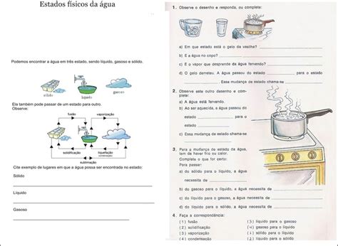 Exercícios Estados Físicos Da água 4 Ano REVOEDUCA