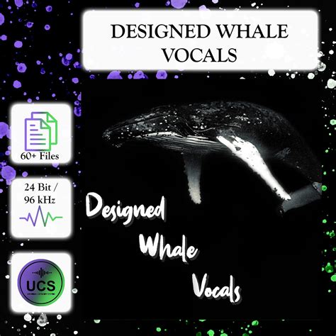 Designed Whale Vocals | Whale Sound Effects Library | Asoundeffect.com