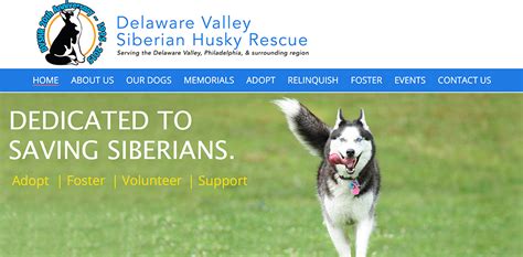 Siberian Husky Training Tips | DVSHR