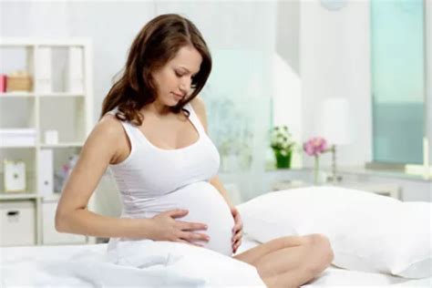 Beneficios De La Estimulaci N Prenatal Embarazo