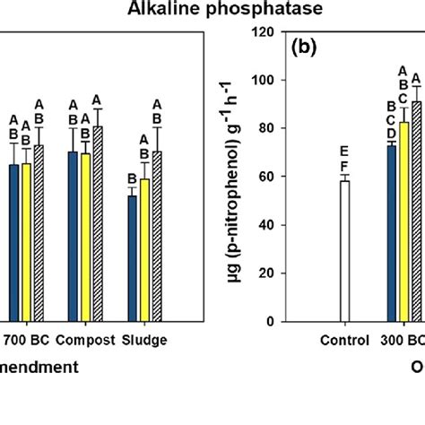 Pdf Potential Of Biochar And Organic Amendments For Reclamation Of