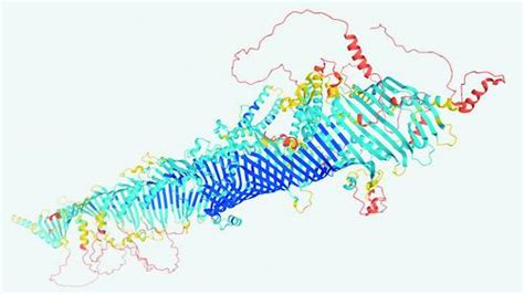 科学网—梦想成真：ai预测蛋白质结构