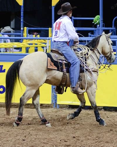 Wrangler National Finals Rodeo Tie Down Roping Dec 3 1 Flickr