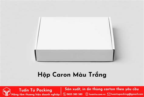 H P Carton M U Tr Ng Gi R T I Tphcm Tu N T Packing