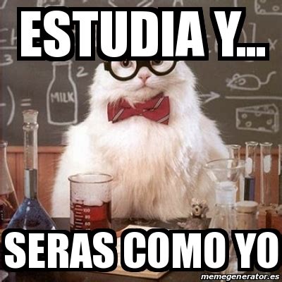 Meme Chemistry Cat Estudia Y Seras Como Yo 22542301