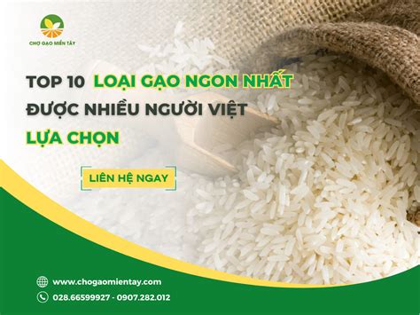 Top 10 Các Loại Gạo Ngon Nhất Việt Nam được ưa Chuộng