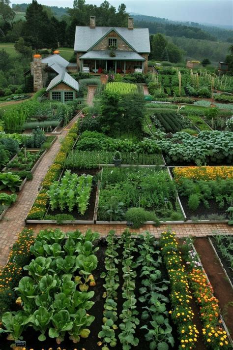 Pin By Mark Leen On Agriculture Dream Backyard Garden Garden Layout