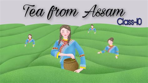 Tea From Assam Class In Hindi Chapter Animated Summary