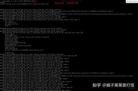 Tcpdump详解and实战 知乎