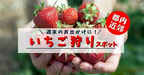 いちごを堪能！都心から電車で行けるいちご狩りスポット10選！｜ミサキ＠フルーツ伝道師