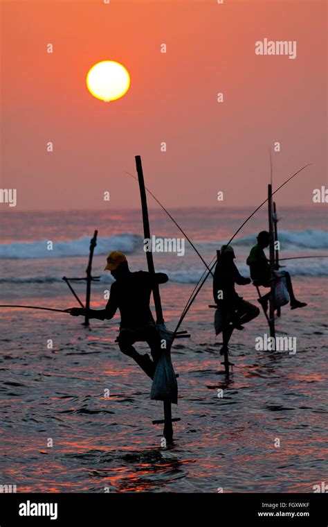 Las Siluetas De Los Pescadores Tradicionales De Zancudos Al Atardecer