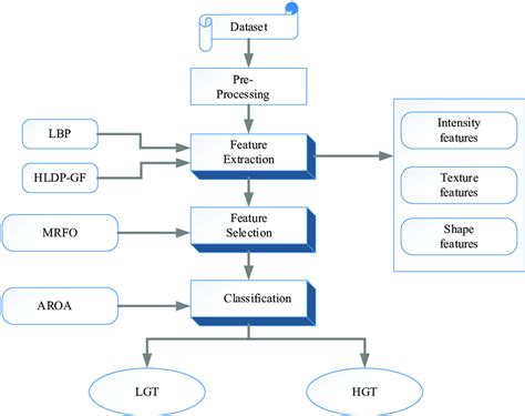 Proposed Framework For Multi Grade Brain Tumor Classification